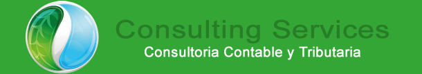 Consulting Services